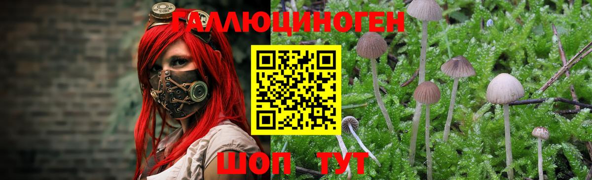 Псилоцибиновые грибы мицелий  Псилоцибиновые грибы мухоморы  Зеленодольск  Вход с VPN 