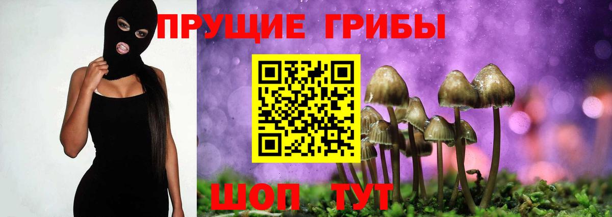 Галлюциногенные грибы Magic Shrooms Зеленодольск